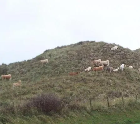 Gemuetliches De Blenck Holiday home Callantsoog