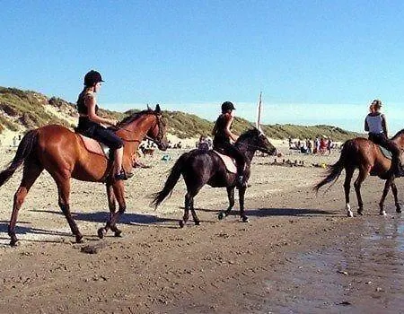 Gemuetliches De Blenck * Callantsoog